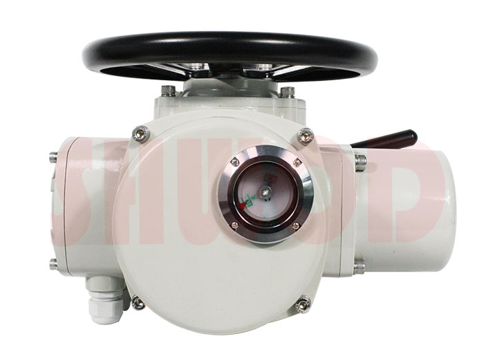 草莓视频下载APP執行器