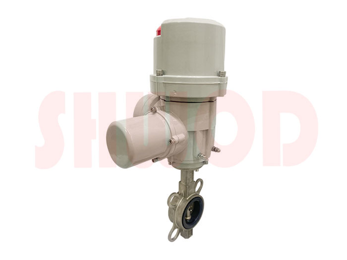 草莓视频下载APP蝶閥