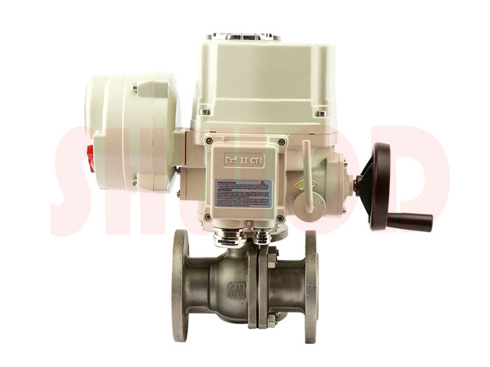 草莓视频下载APP球閥