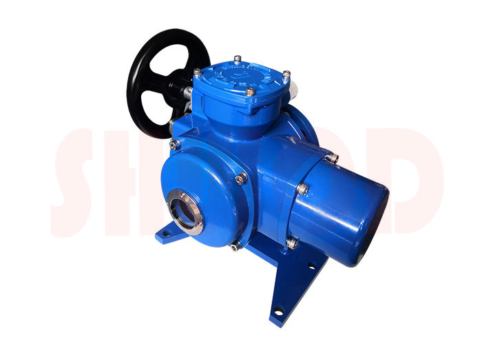 草莓视频下载APP執行器