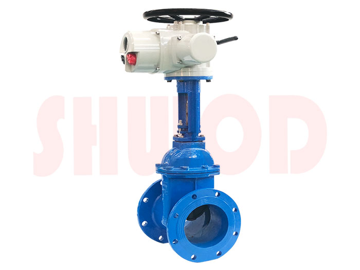 草莓视频下载APP閘閥