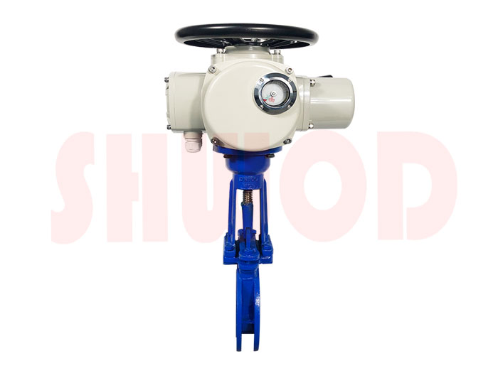 草莓视频下载APP閘閥