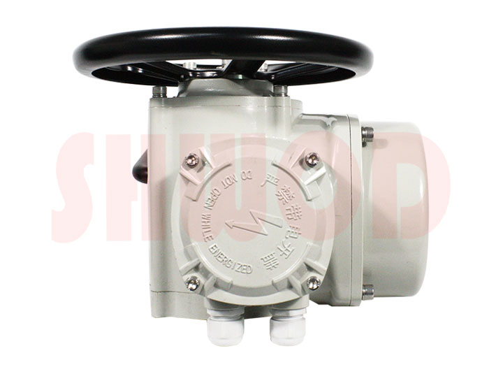 草莓视频下载APP執行器