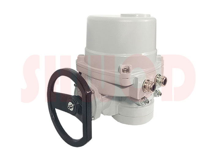 草莓视频下载APP執行器