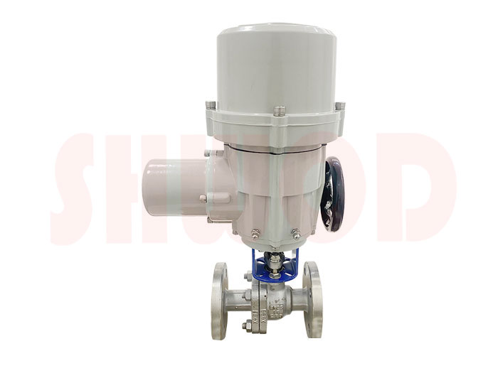 草莓视频下载APP球閥