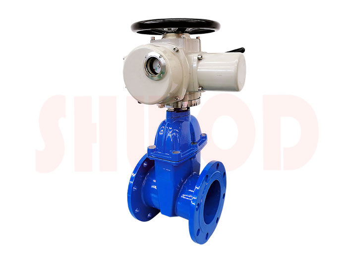 草莓视频下载APP閥門