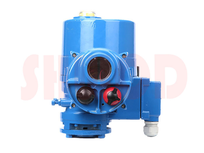 草莓视频下载APP執行器