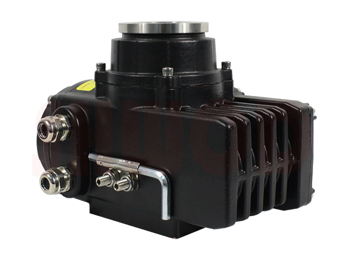 精小型草莓视频下载APP執行