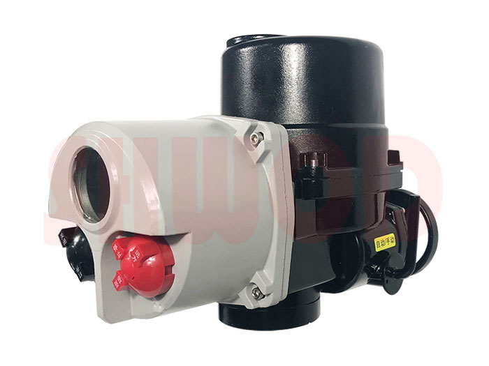 草莓视频下载APP執行器