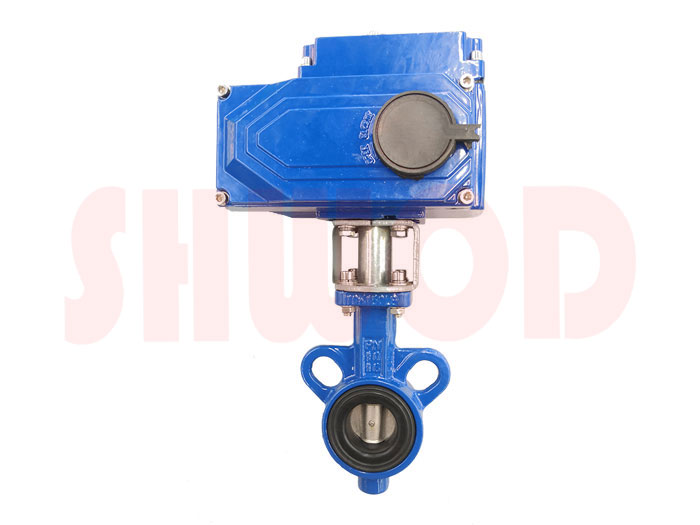 草莓视频下载APP蝶閥