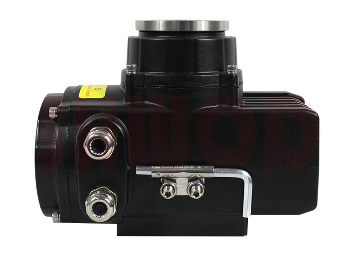 草莓视频下载APP執行器