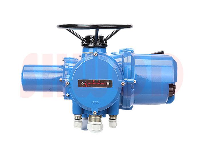 多回轉草莓视频下载APP執行器