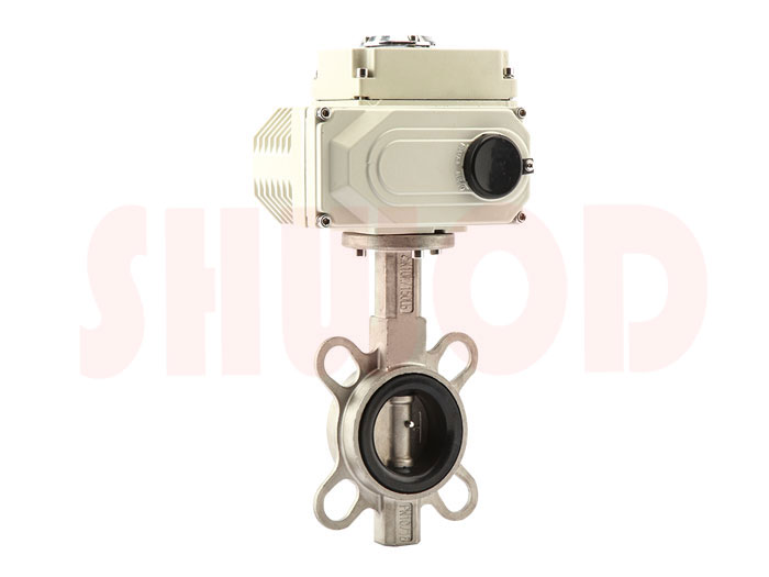 草莓视频下载APP蝶閥