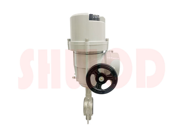 草莓视频下载APP蝶閥