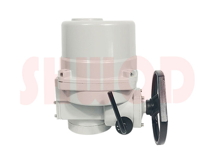 草莓视频下载APP執行器