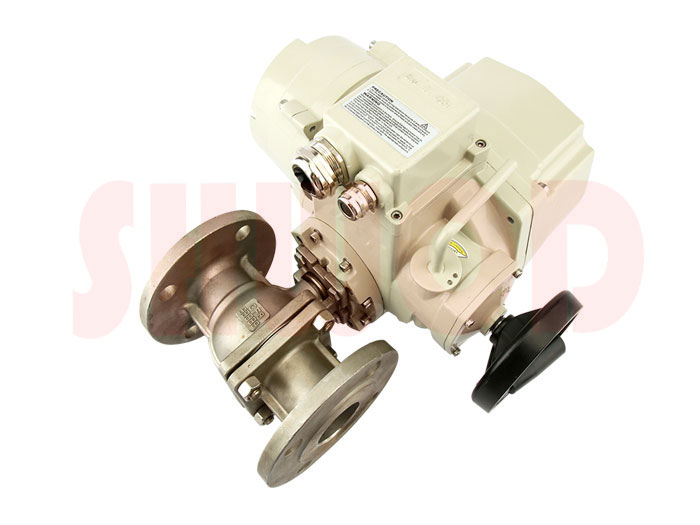 草莓视频下载APP球閥